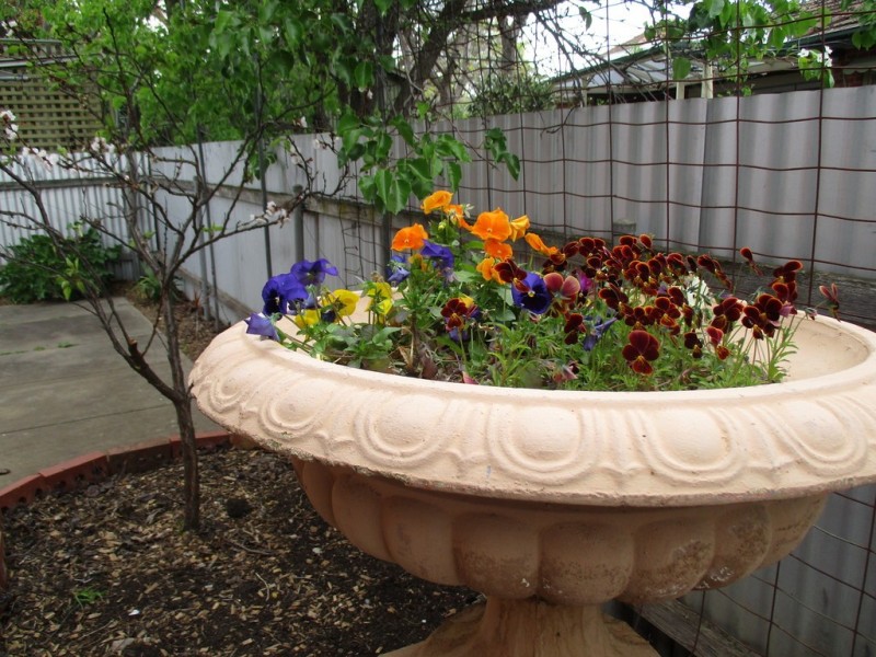 53a Arthur Street, Plympton Park SA 5038