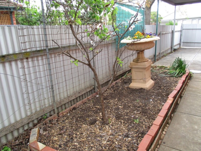 53a Arthur Street, Plympton Park SA 5038