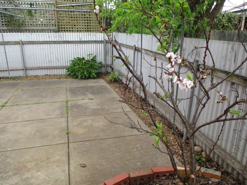 53a Arthur Street, Plympton Park SA 5038