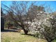 48 Diosma Drive, Coromandel Valley SA 5051