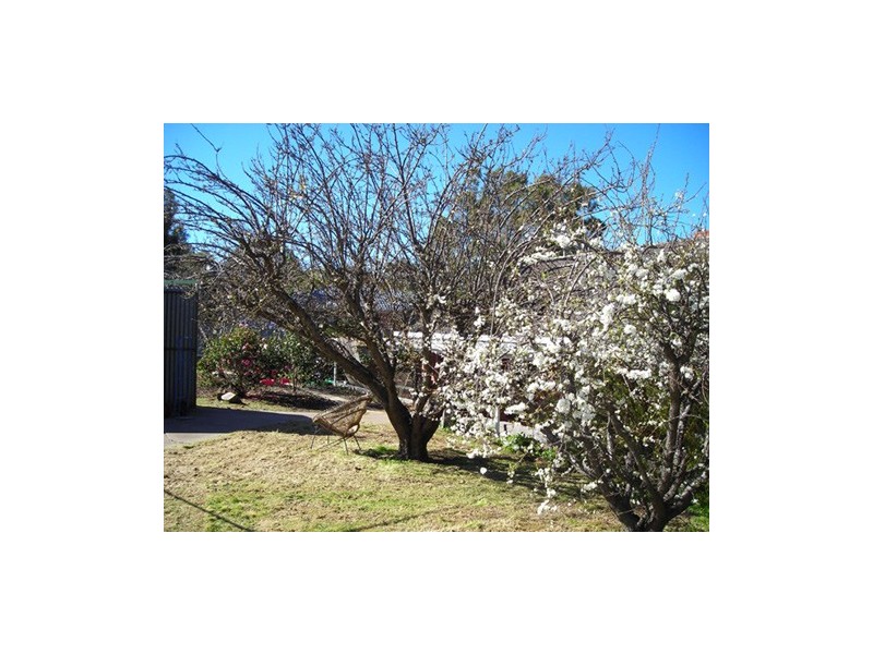 48 Diosma Drive, Coromandel Valley SA 5051