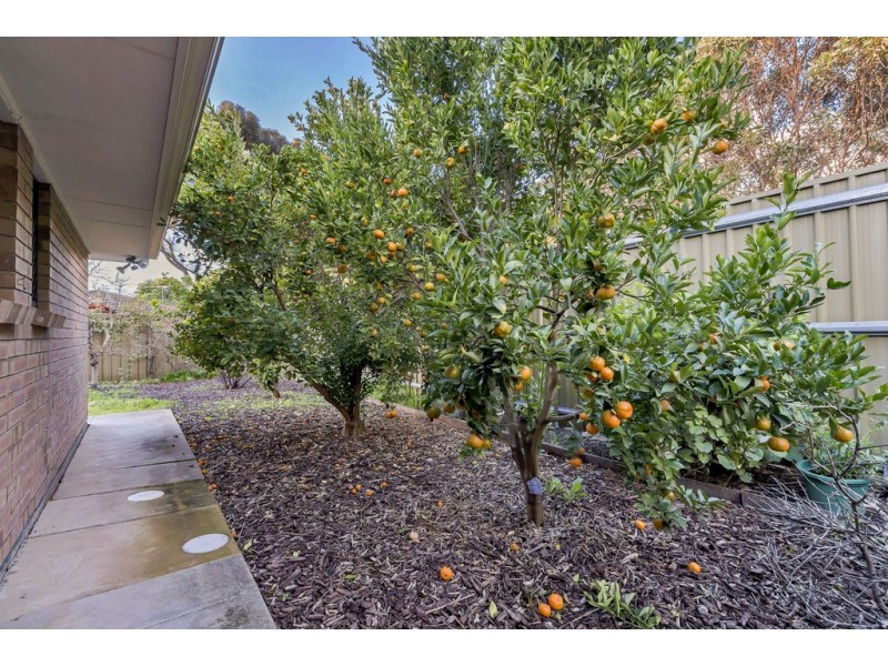 11/72 Booth Avenue, Morphett Vale SA 5162