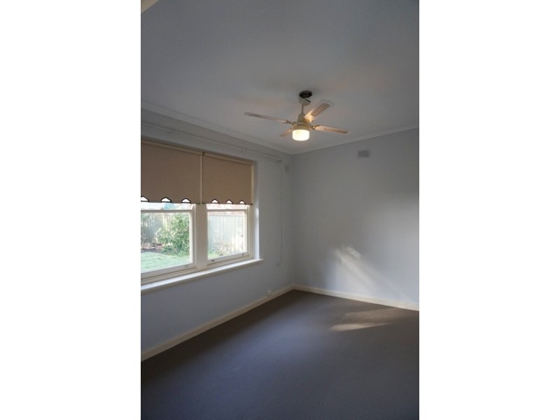 19 Netherby Avenue, Plympton SA 5038