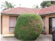 55b Australian Avenue, Clovelly Park SA 5042