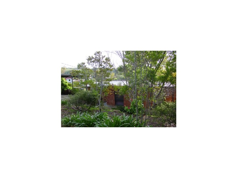 18 Francis Street, Bedford Park SA 5042