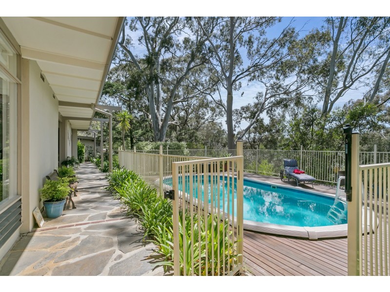 10 Boronia Avenue, Coromandel Valley SA 5051