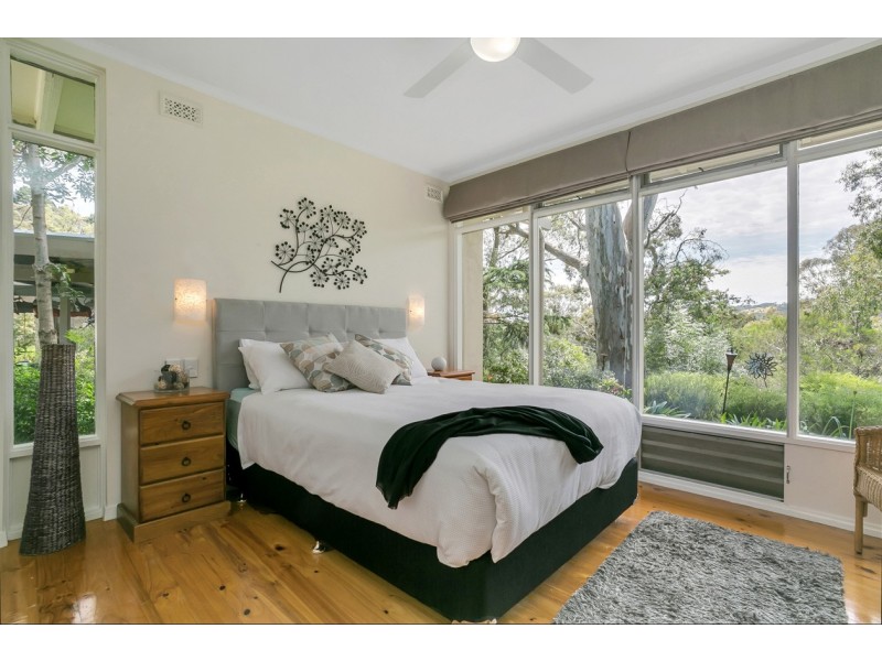 10 Boronia Avenue, Coromandel Valley SA 5051