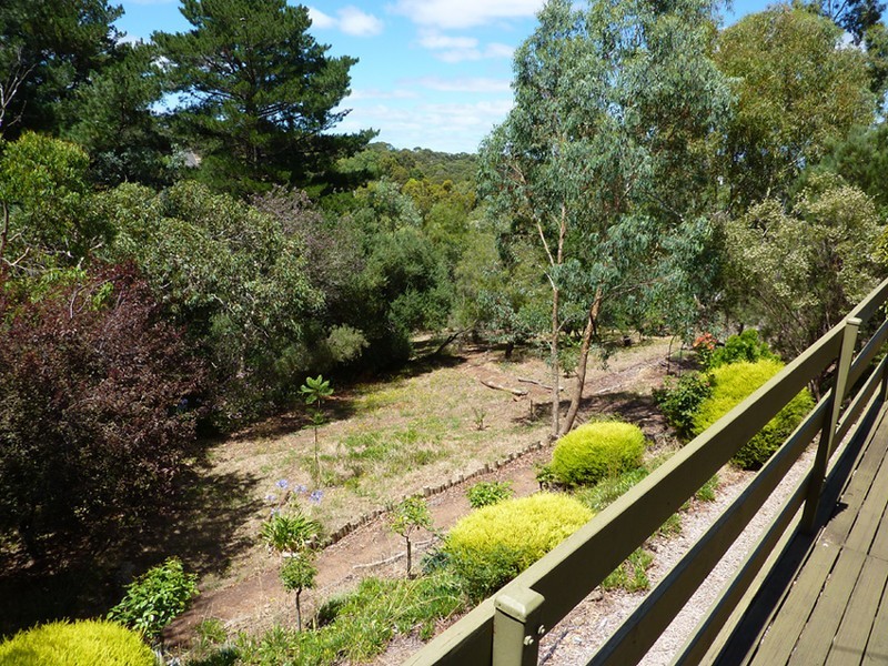 23 Craiglee Drive, Coromandel Valley SA 5051