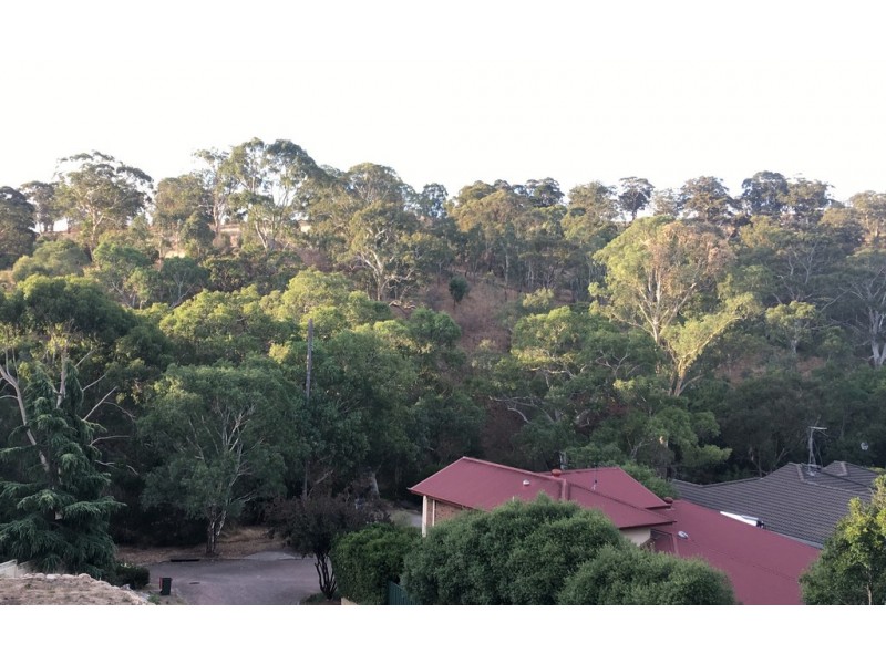 3 Annewan Walk, Flagstaff Hill SA 5159