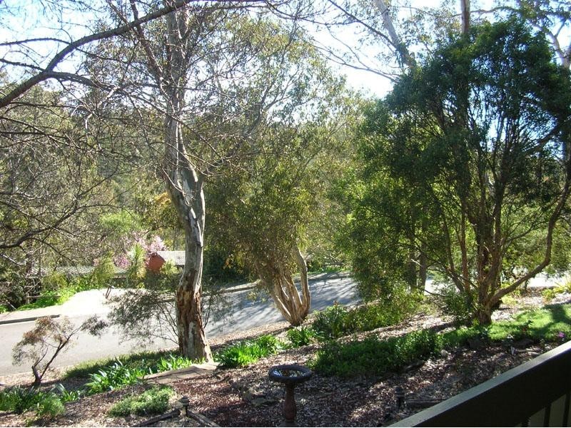 1 Trevilyan Court, Coromandel Valley SA 5051