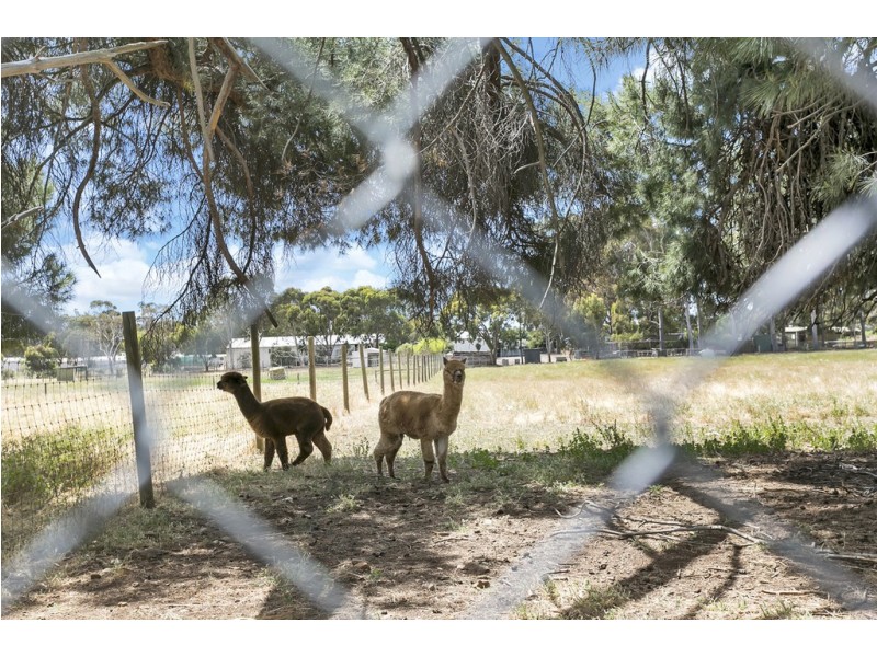 3/11 Kitchener Street, Netherby SA 5062