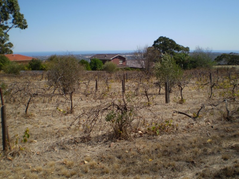 Happy Valley SA 5159