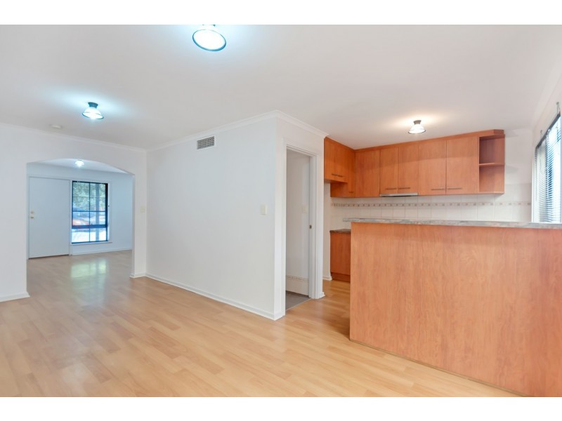 3 WALLACE COURT, Mitchell Park SA 5043