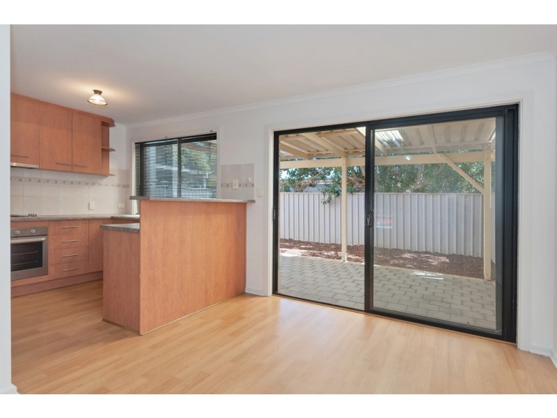 3 WALLACE COURT, Mitchell Park SA 5043