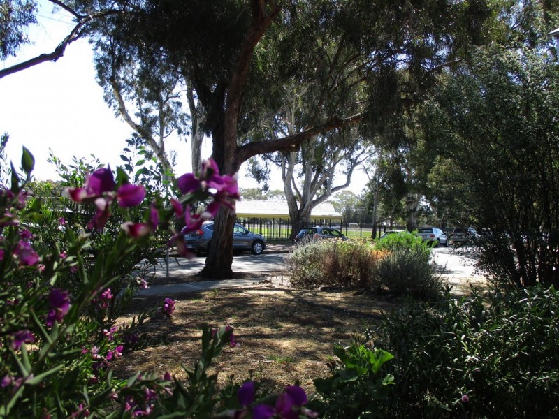 2 Alison Avenue, Marion SA 5043