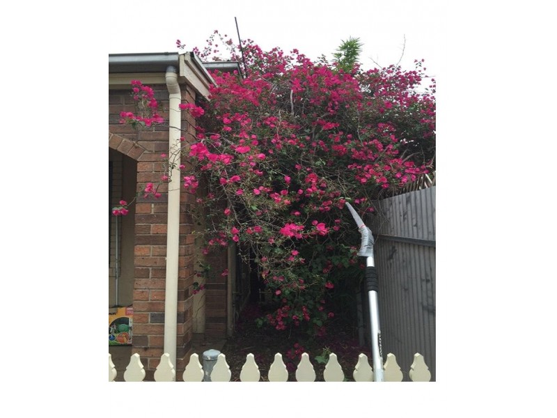 34 Essex Street South, Goodwood SA 5034