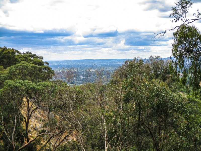 26 Burnell Drive, Belair SA 5052