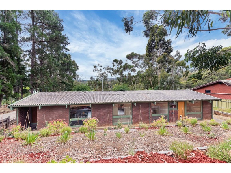 53 Light Road, Coromandel Valley SA 5051