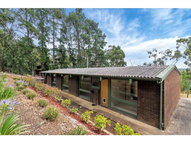 53 Light Road, Coromandel Valley SA 5051