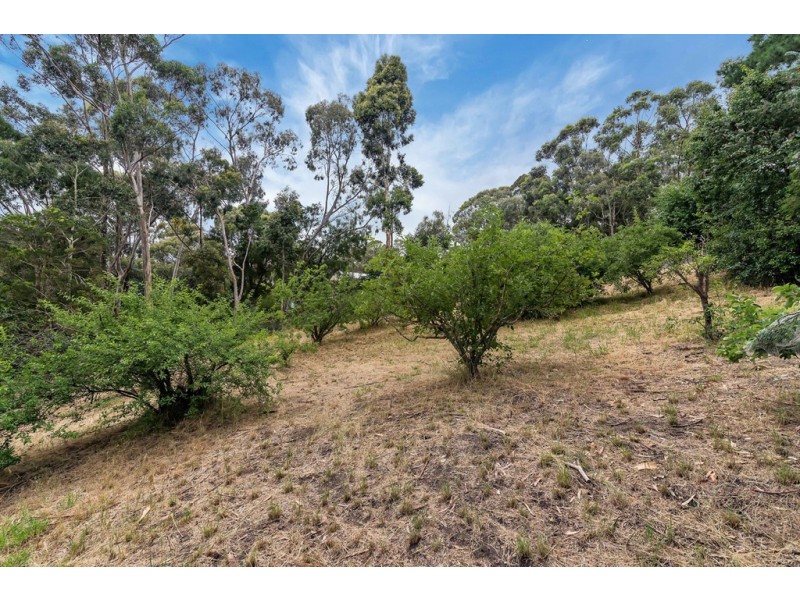 53 Light Road, Coromandel Valley SA 5051