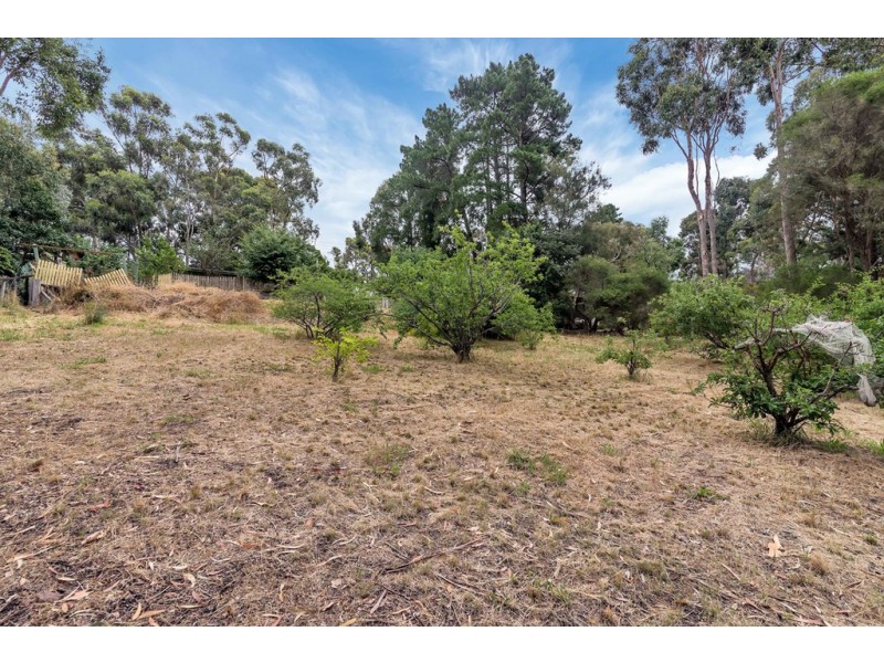 53 Light Road, Coromandel Valley SA 5051