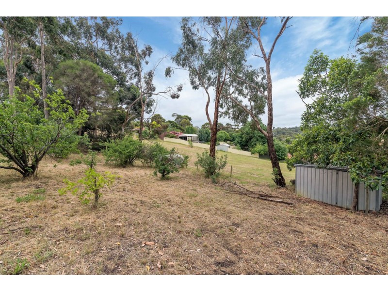 53 Light Road, Coromandel Valley SA 5051