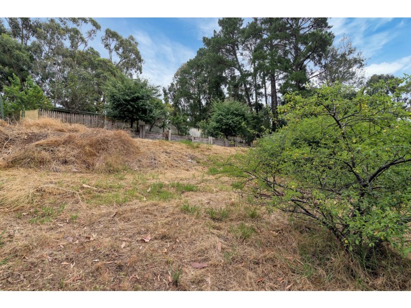 53 Light Road, Coromandel Valley SA 5051