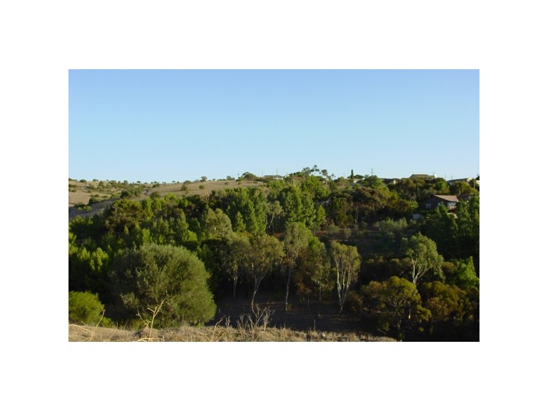 11 Spinks Road, Marino SA 5049