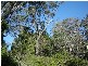 28 Barbara Crescent, Coromandel Valley SA 5051