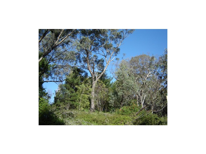 28 Barbara Crescent, Coromandel Valley SA 5051