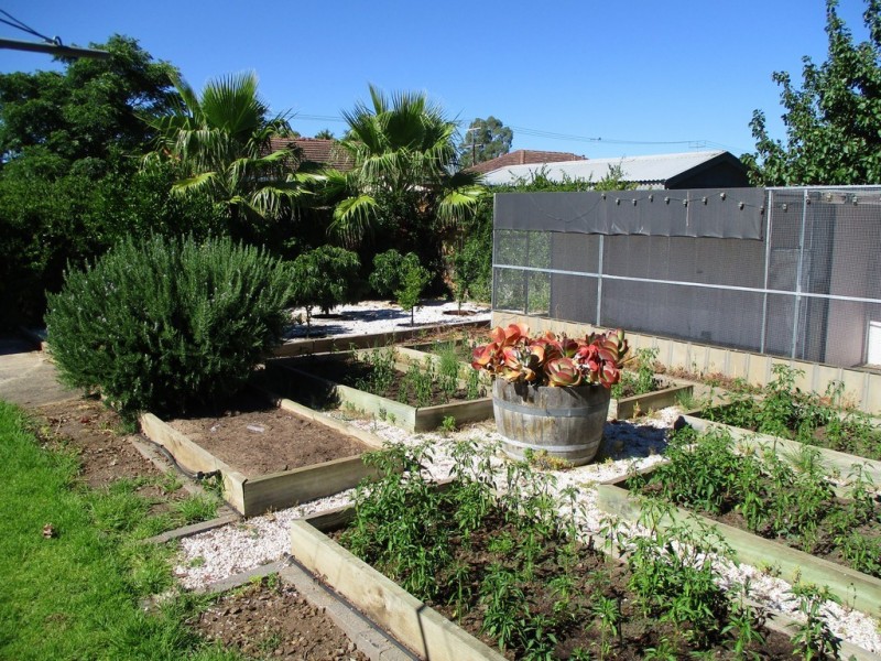 27 Barry Road, Oaklands Park SA 5046