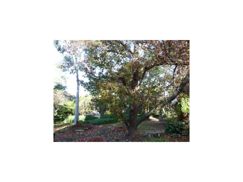 15 Diosma Drive, Coromandel Valley SA 5051