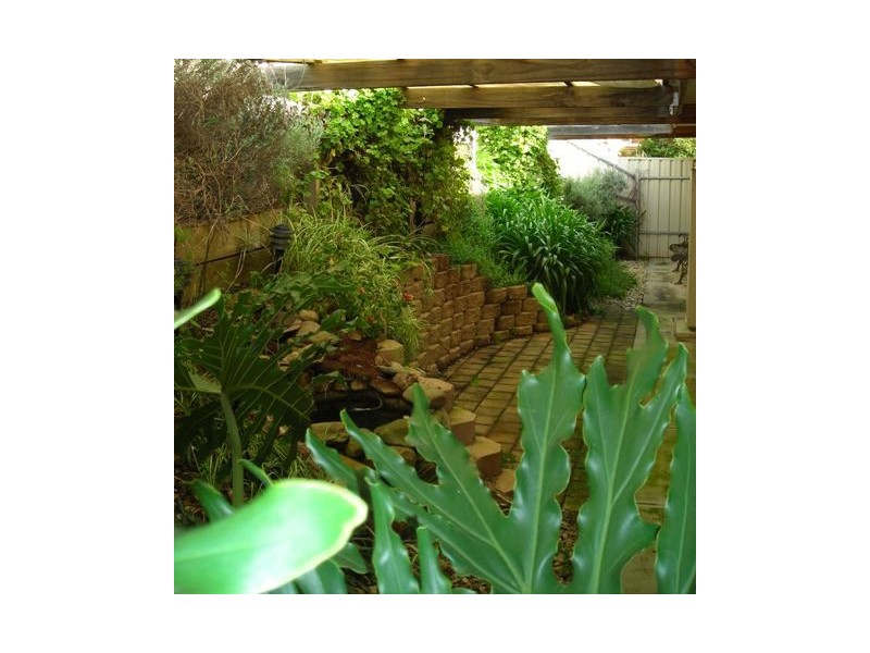 4 Vawser Court, Coromandel Valley SA 5051