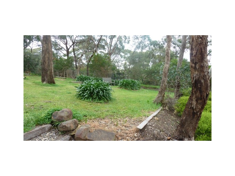 37 Caroline Avenue, Belair SA 5052