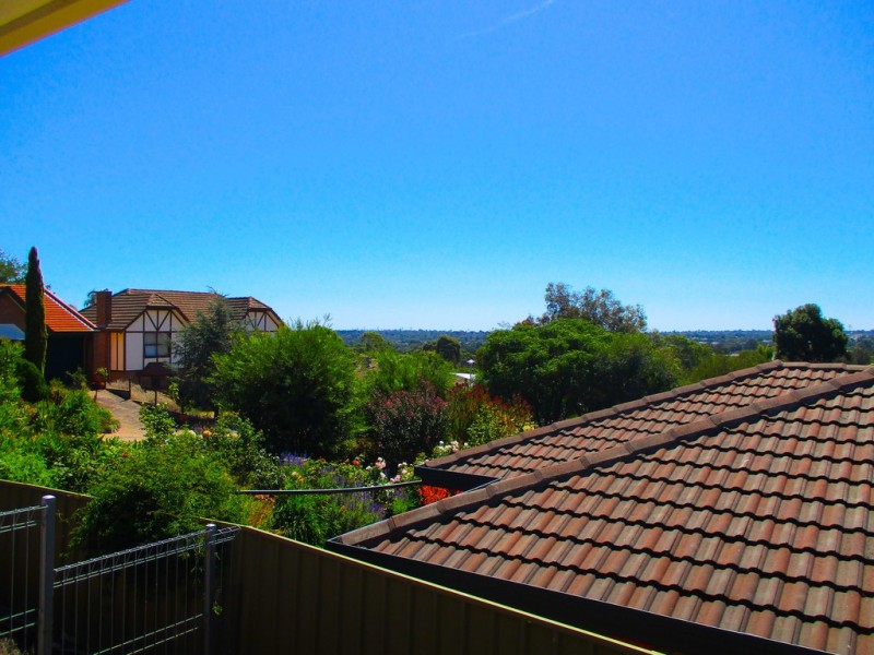 17 Greenfield Rise, Aberfoyle Park SA 5159