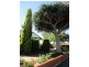 10A Torrens Street, Mitcham SA 5062