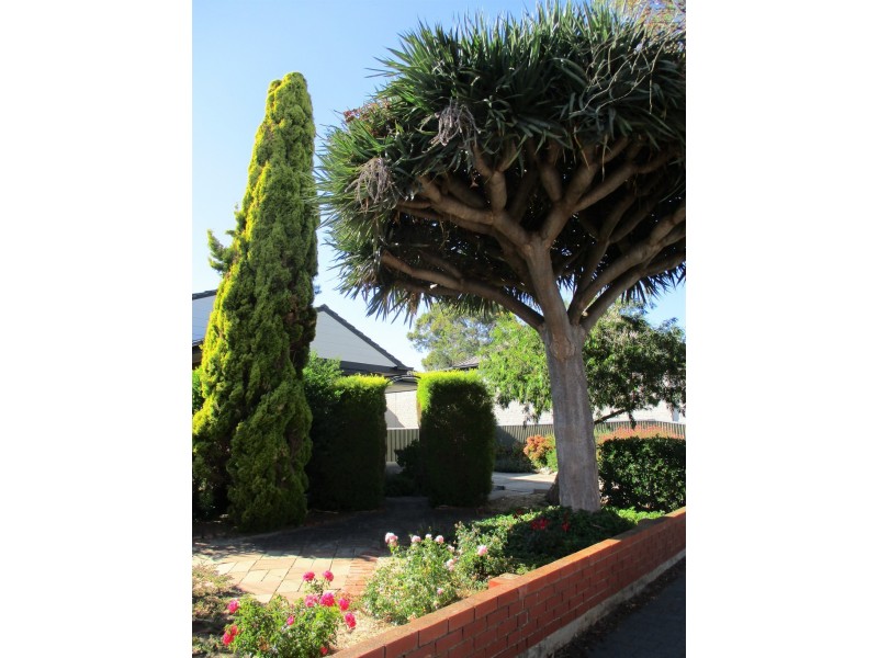 10A Torrens Street, Mitcham SA 5062