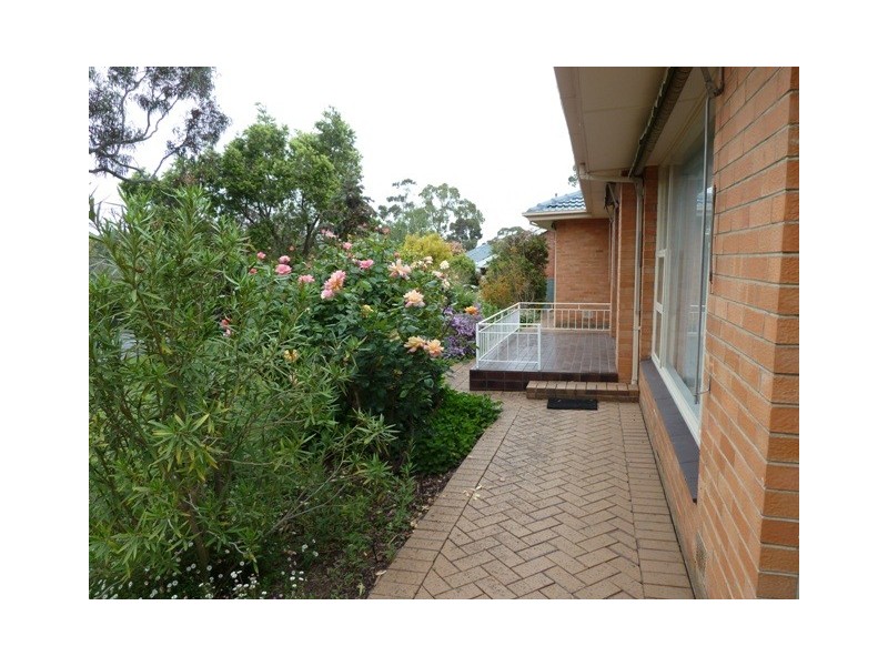 46 Diosma Drive, Coromandel Valley SA 5051