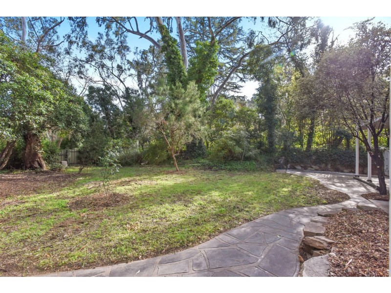 43 Lindsay Terrace, Belair SA 5052