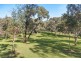 43 Lindsay Terrace, Belair SA 5052