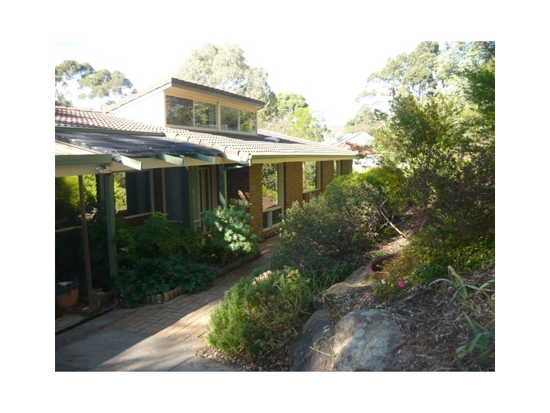 1 Jacaranda Drive, Coromandel Valley SA 5051