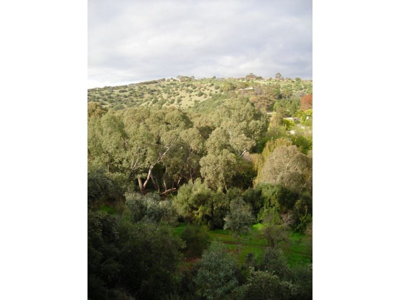 42a Leila Street, Bedford Park SA 5042