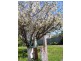 48 Diosma Drive, Coromandel Valley SA 5051