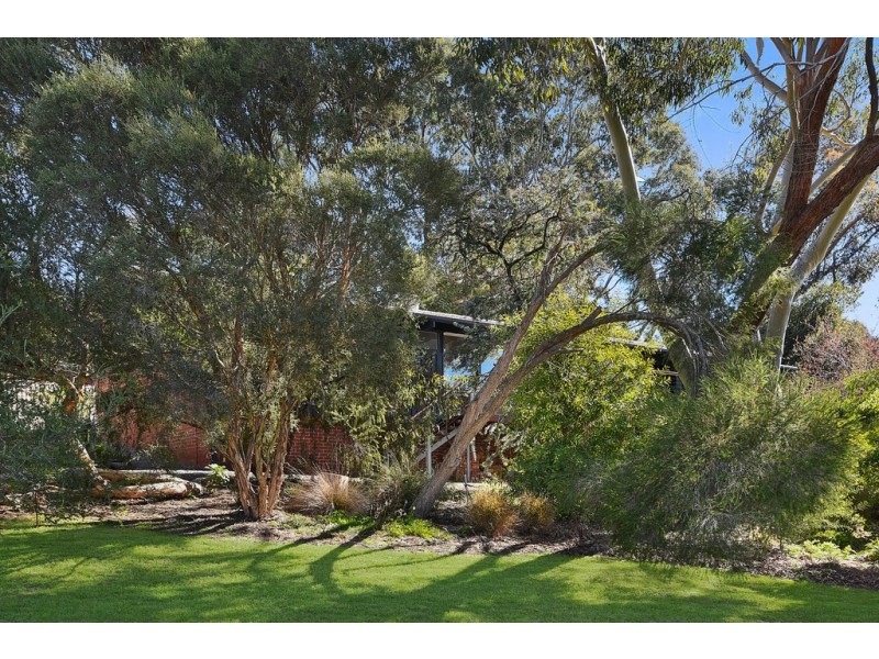 5 Hillridge Drive, Belair SA 5052