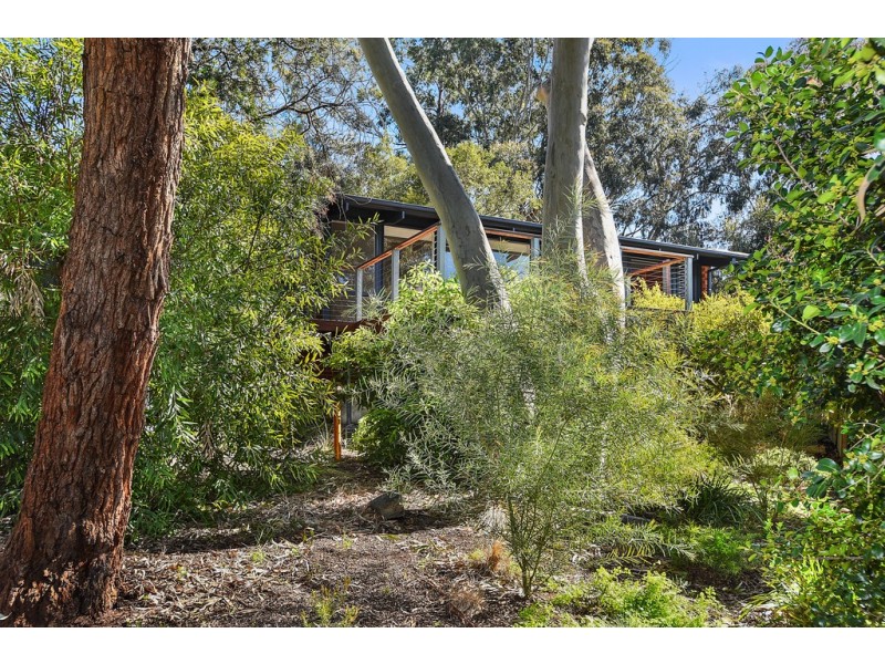 5 Hillridge Drive, Belair SA 5052