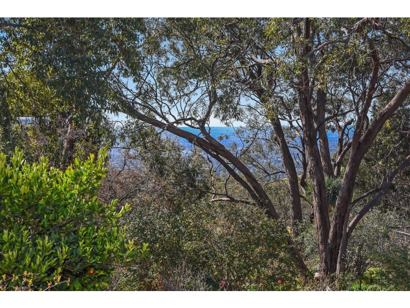 3 Sheoak Road, Belair SA 5052