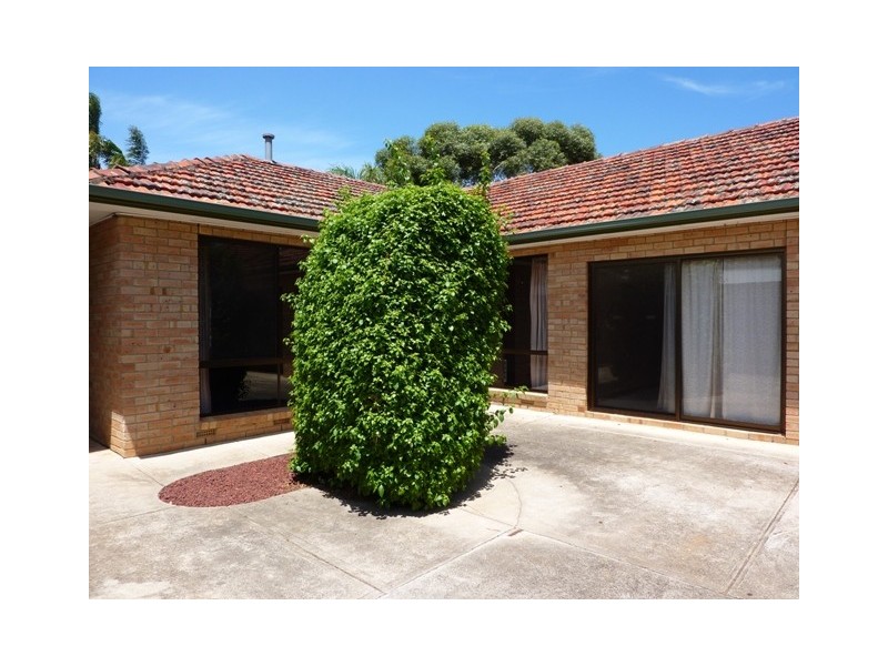 55B Australian Avenue, Clovelly Park SA 5042