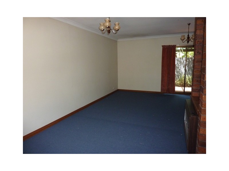 55B Australian Avenue, Clovelly Park SA 5042