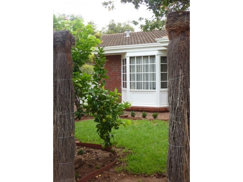 3/474 Magill Road, Kensington Gardens SA 5068