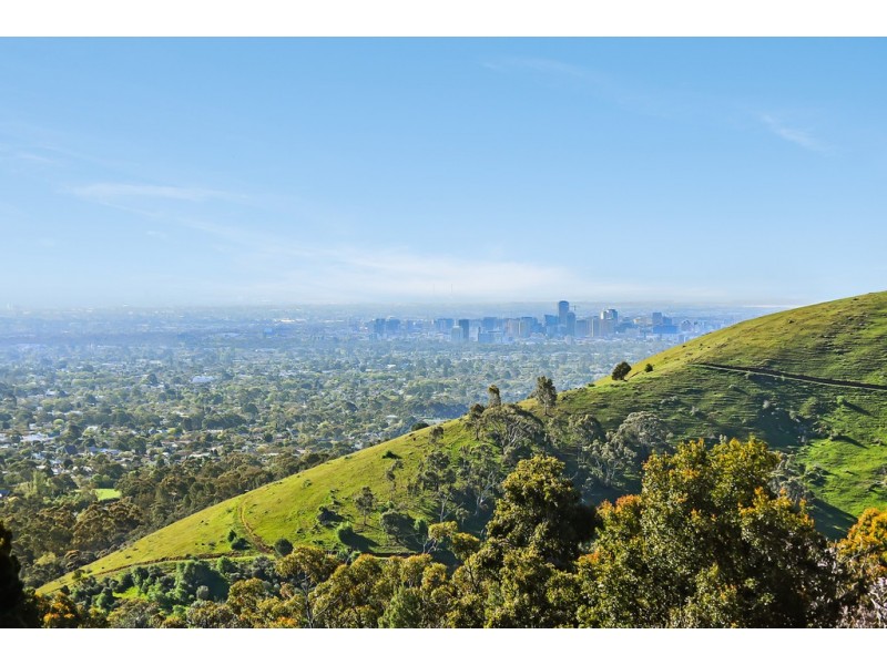 18 Francis Street, Belair SA 5052